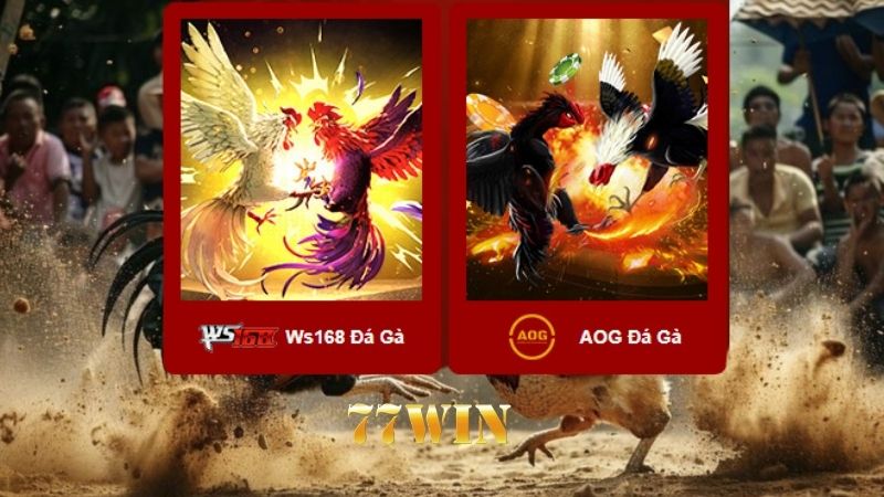 Đá gà 77win - Sảnh game chọi kê thời thượng