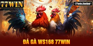 Đá Gà Ws168 77win